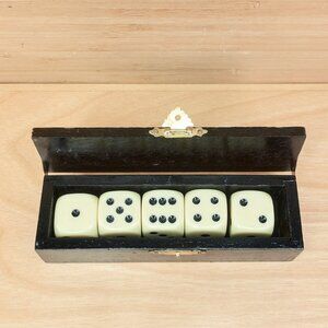 Vintage Dice Set / 5 Cream Dice / Playboy Wooden Box